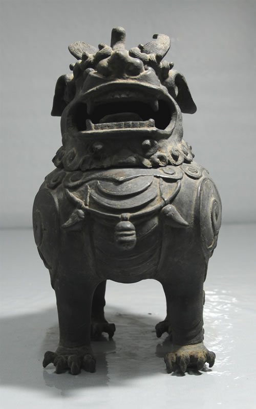 ���˶�����޹¯