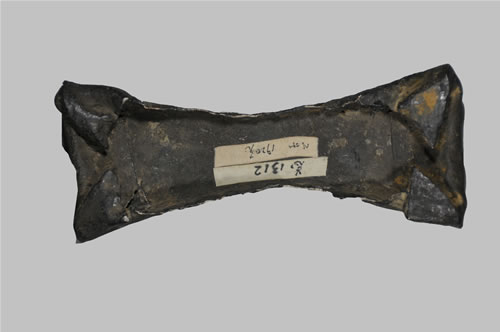 1312��6���ƴ�����������