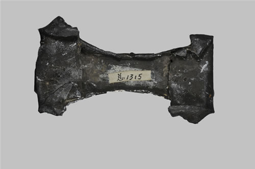 1315��6���ƴ�����������